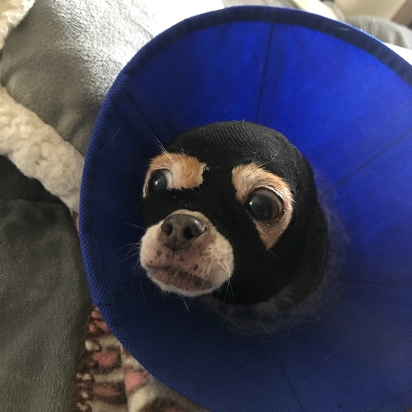 Meet your Posher, Ayen - Picture 2 of 4